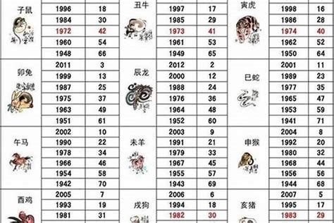 2000属相|2000出生属什么生肖查询，2000多大年龄，2000今年几岁